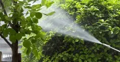 Fumigación Fumigar