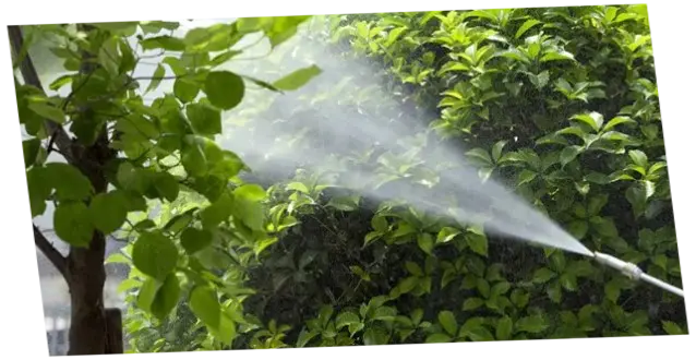 Servicio de Jardinería Fumigación Mantenimiento de jardines fumigación