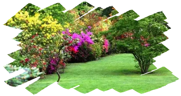 Servicio de Jardinería Mantenimiento de jardines