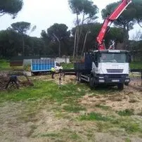 Tala y poda en altura en Orusco de Tajuña Madrid Podadores y taladores de árboles en Orusco de Tajuña Madrid