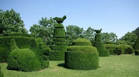 Soluciones de Arboricultura a Medida para atender tus árboles Soluciones de Arboricultura a Medida para tus árboles
