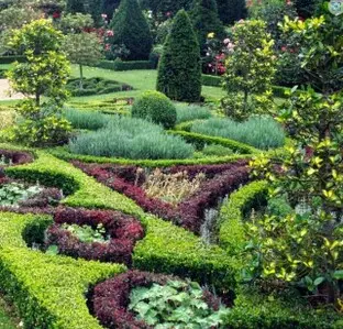 Servicios Integrales de Jardinería en Madrid